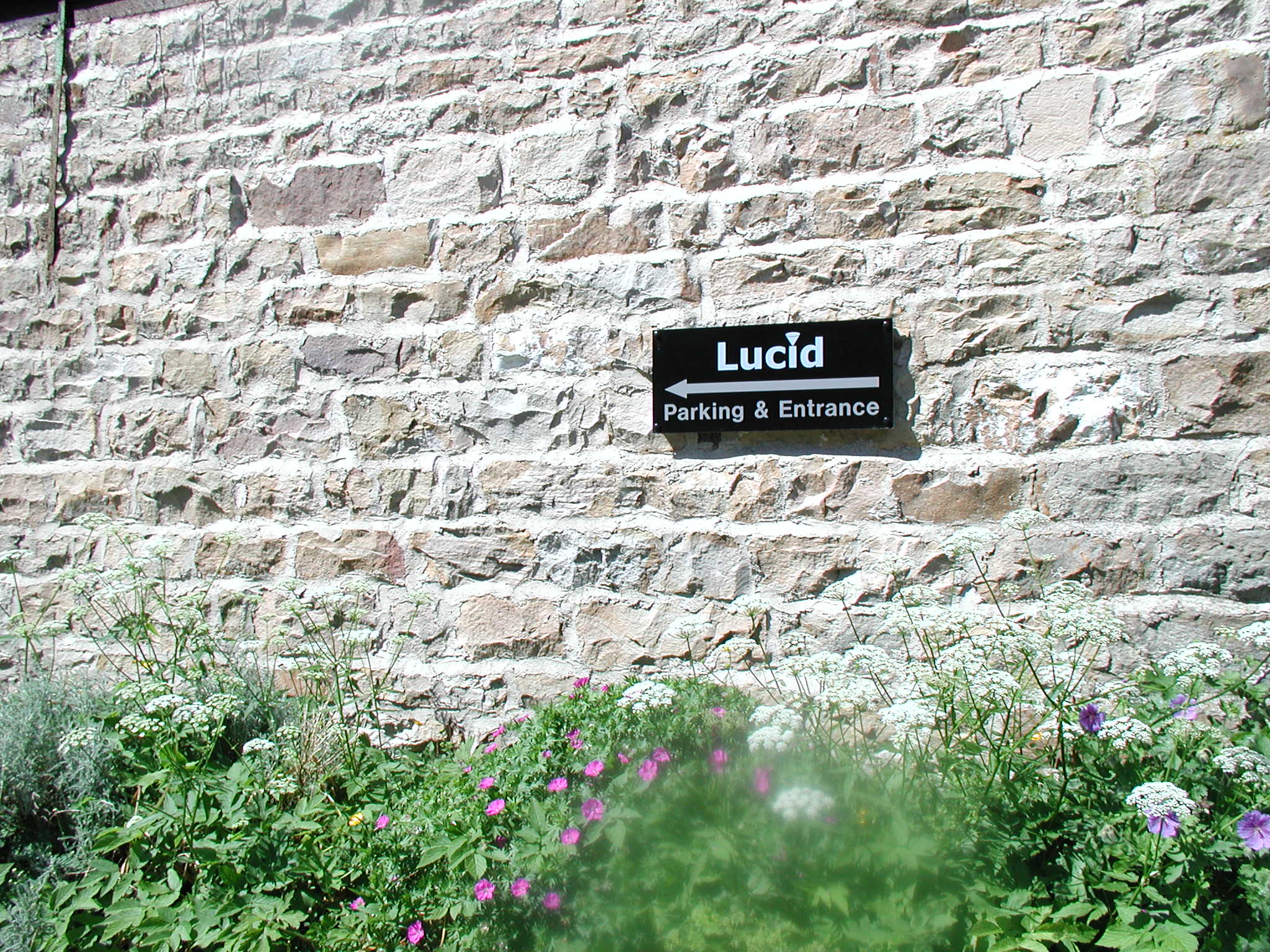 Lucid sign